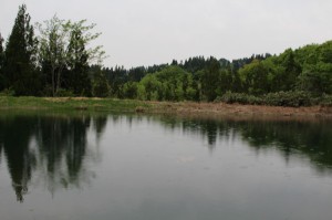 広い野池